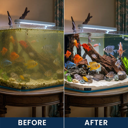 Limited-Time Offer ⚡LIMETOW® FISH TANK CLEANING TABLETS