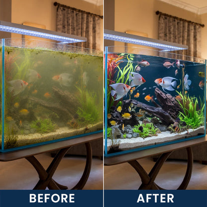 Limited-Time Offer ⚡LIMETOW® FISH TANK CLEANING TABLETS