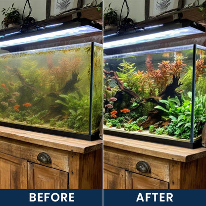 Limited-Time Offer ⚡LIMETOW® FISH TANK CLEANING TABLETS