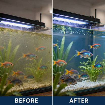 Limited-Time Offer ⚡LIMETOW® FISH TANK CLEANING TABLETS