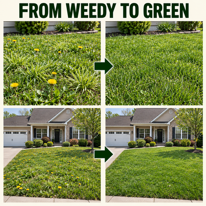 🔥 5-in-1 Weed & Feed | Fast-Acting Dual-Action Granules for Stubborn Lawn Weeds & a Greener-Looking Lawn