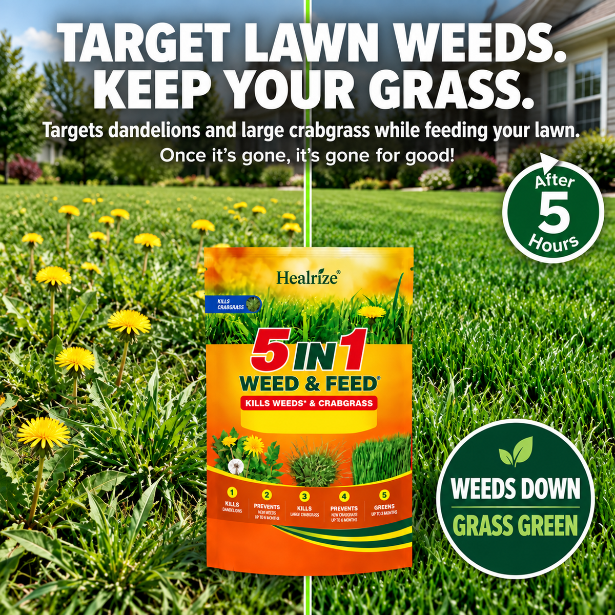 🔥 5-in-1 Weed & Feed | Fast-Acting Dual-Action Granules for Stubborn Lawn Weeds & a Greener-Looking Lawn
