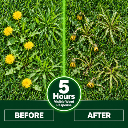 🔥 5-in-1 Weed & Feed | Fast-Acting Dual-Action Granules for Stubborn Lawn Weeds & a Greener-Looking Lawn